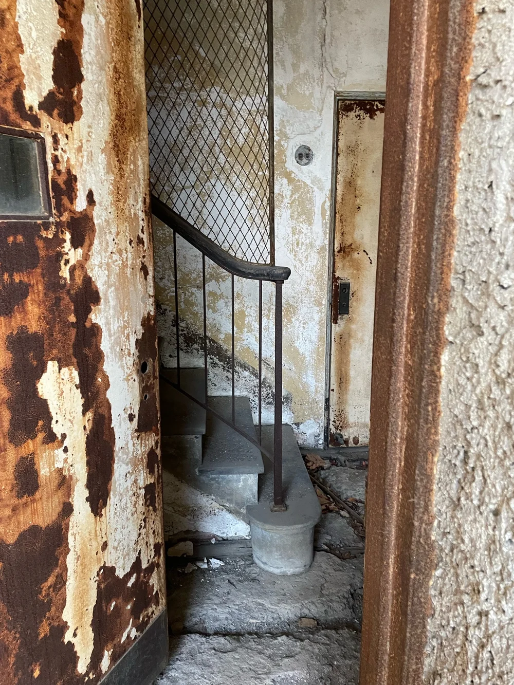IMG_5573.jpeg