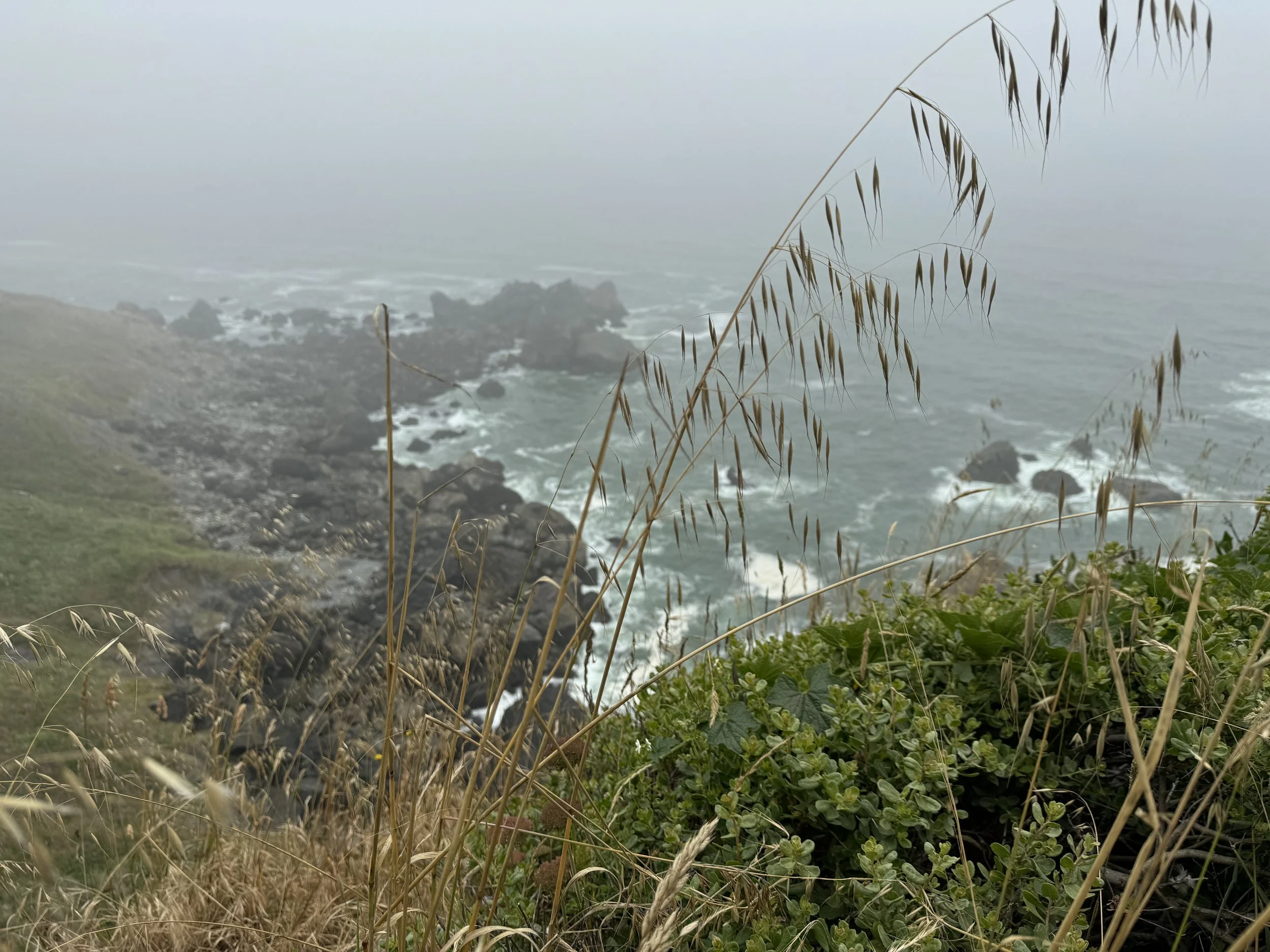 IMG_7715.jpeg