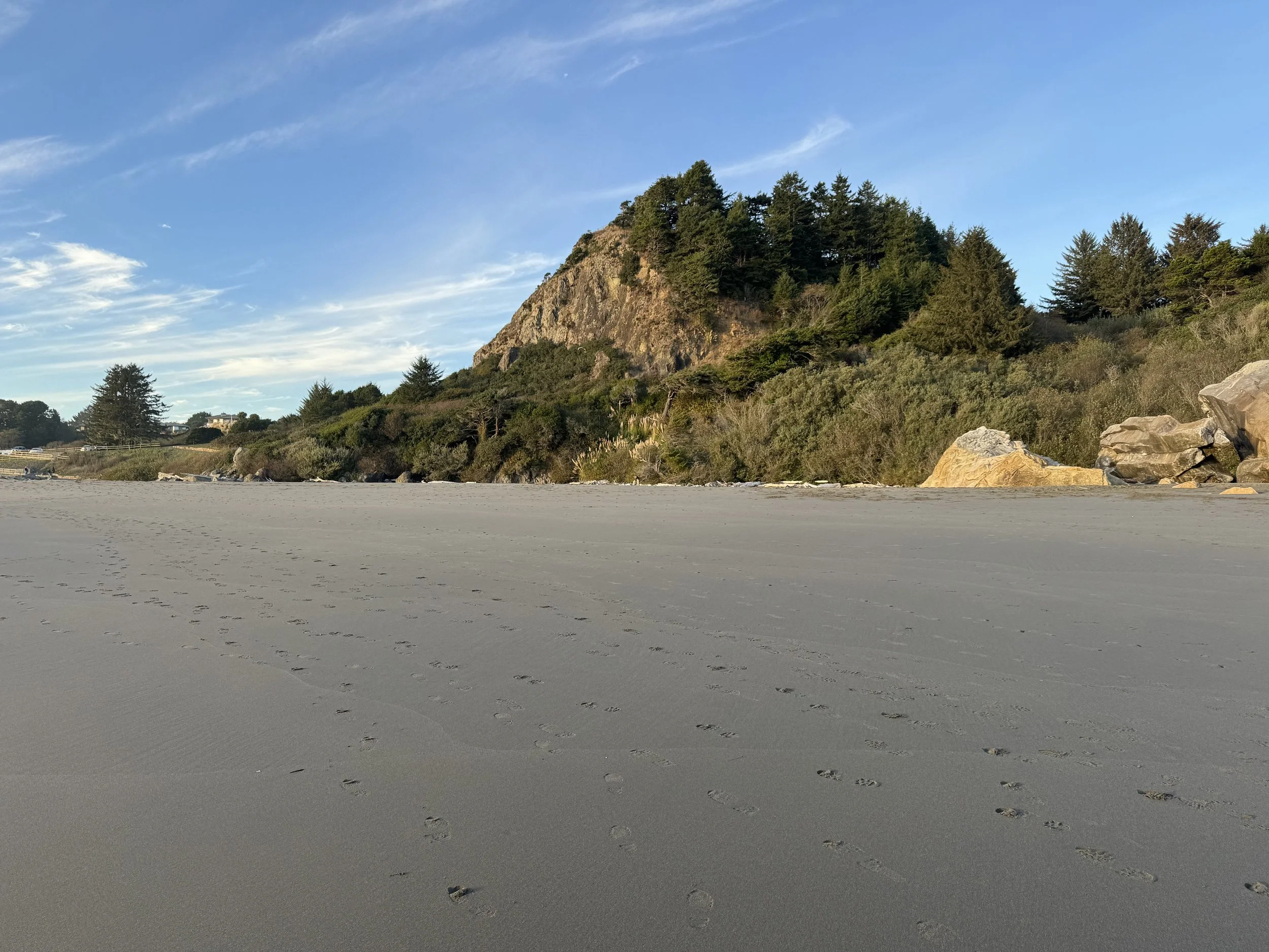IMG_8572.jpeg