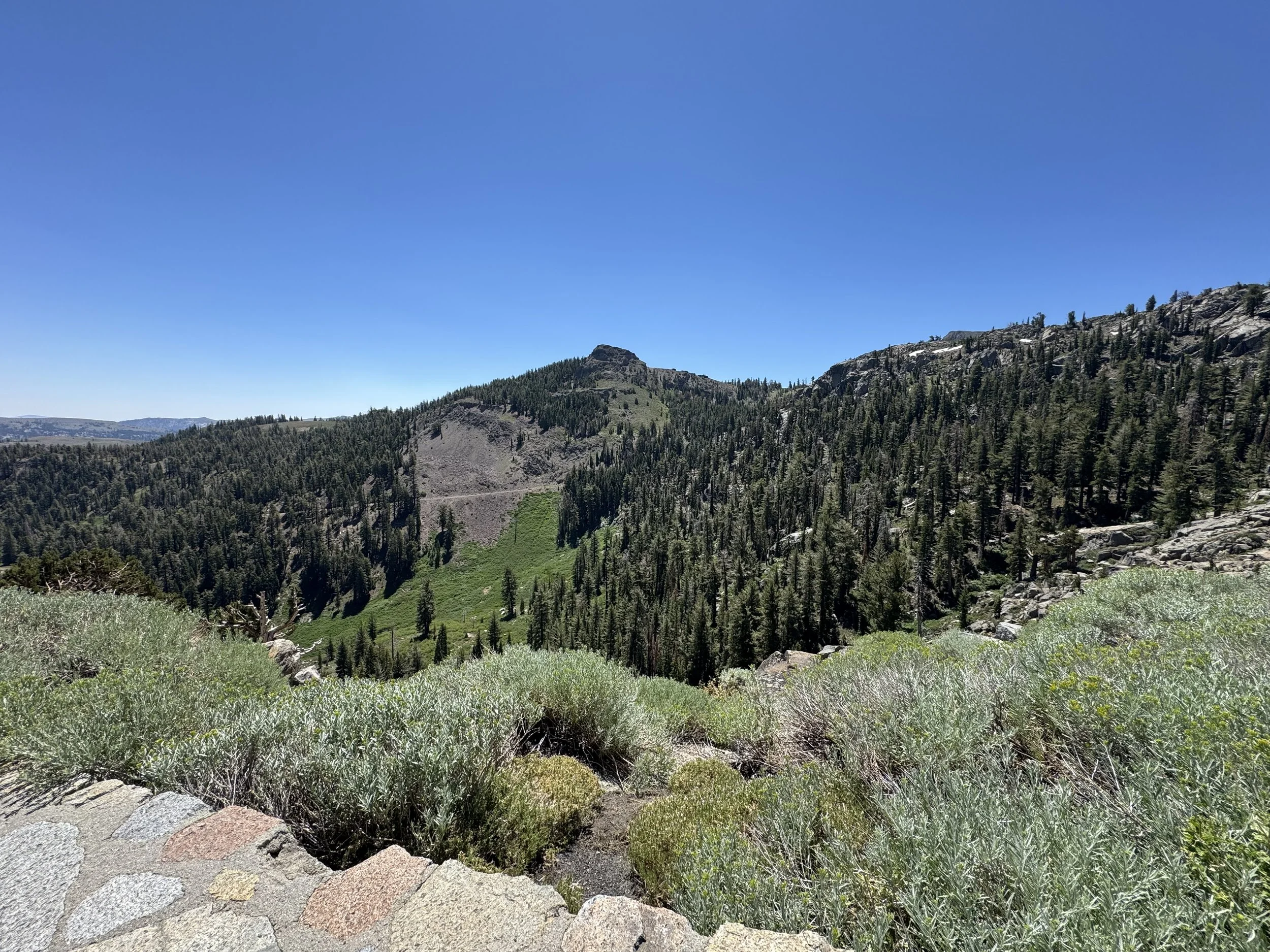 IMG_2297.jpeg
