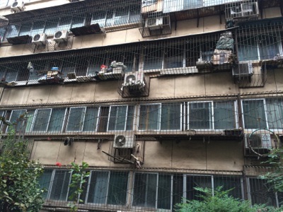  Another aspect of China : wire screens on every window ... 
