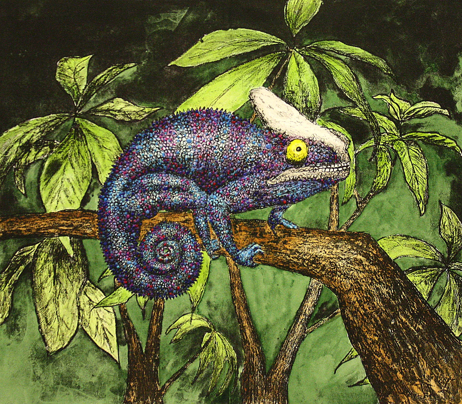 Chameleon