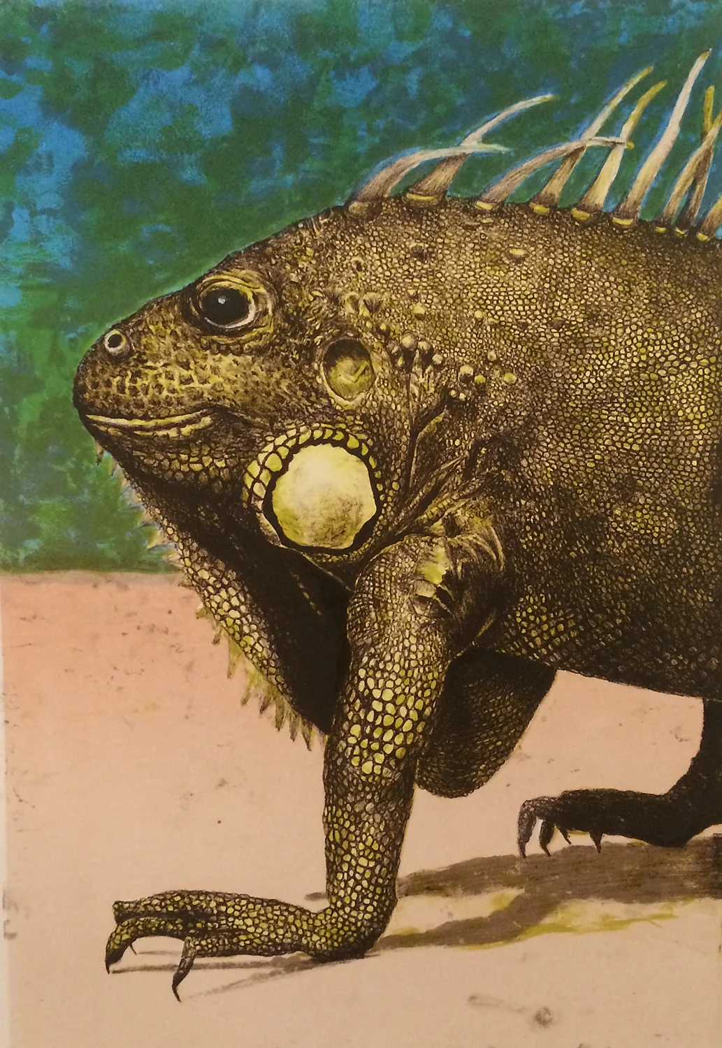 Iguana (variable edition)