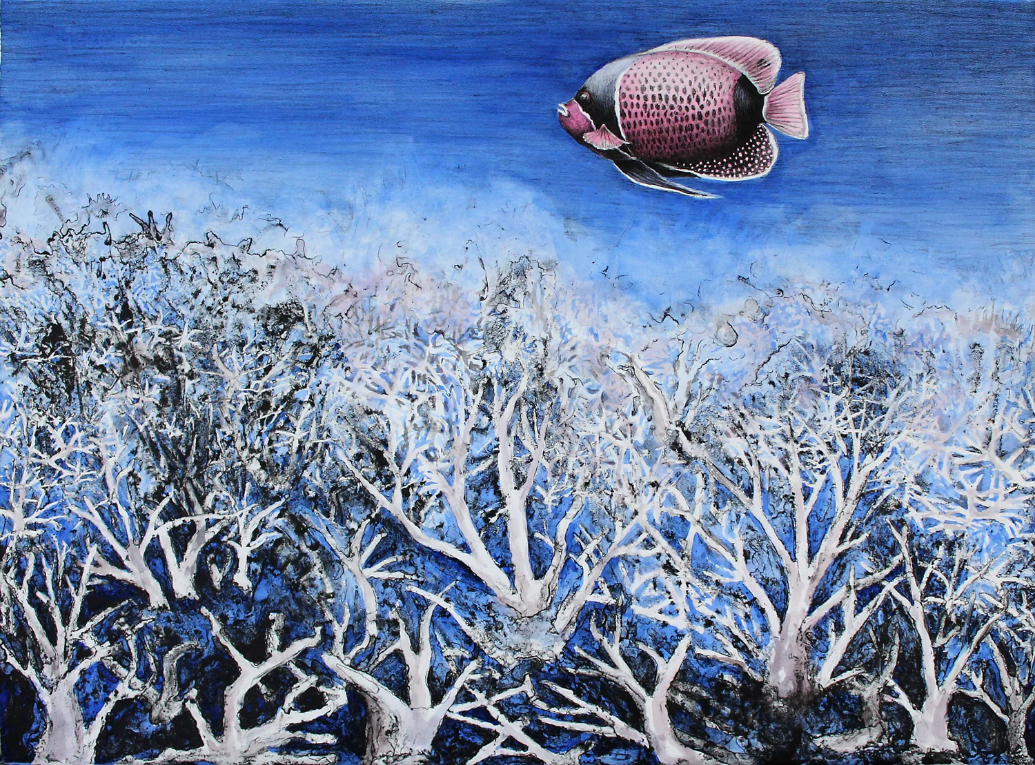 Reef