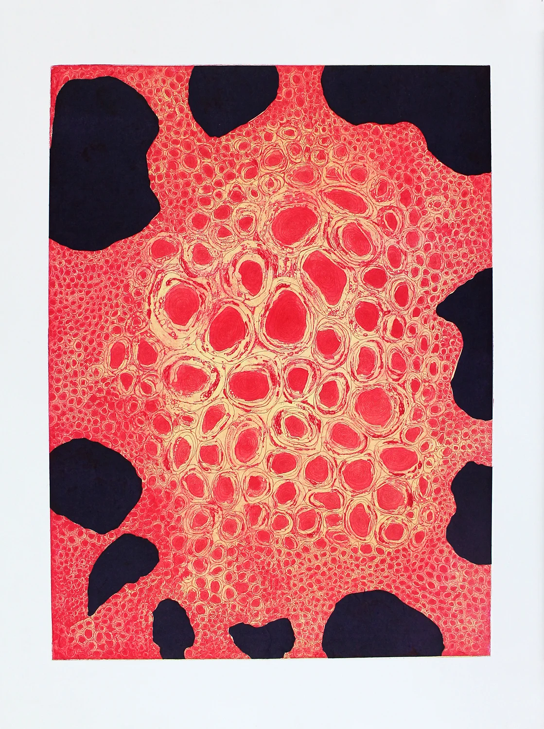 Sponge