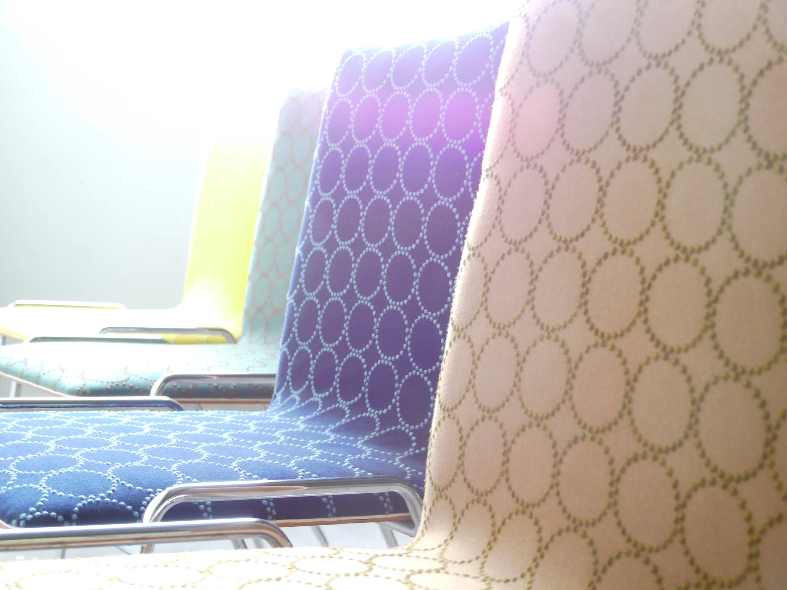 P1050816.jpg