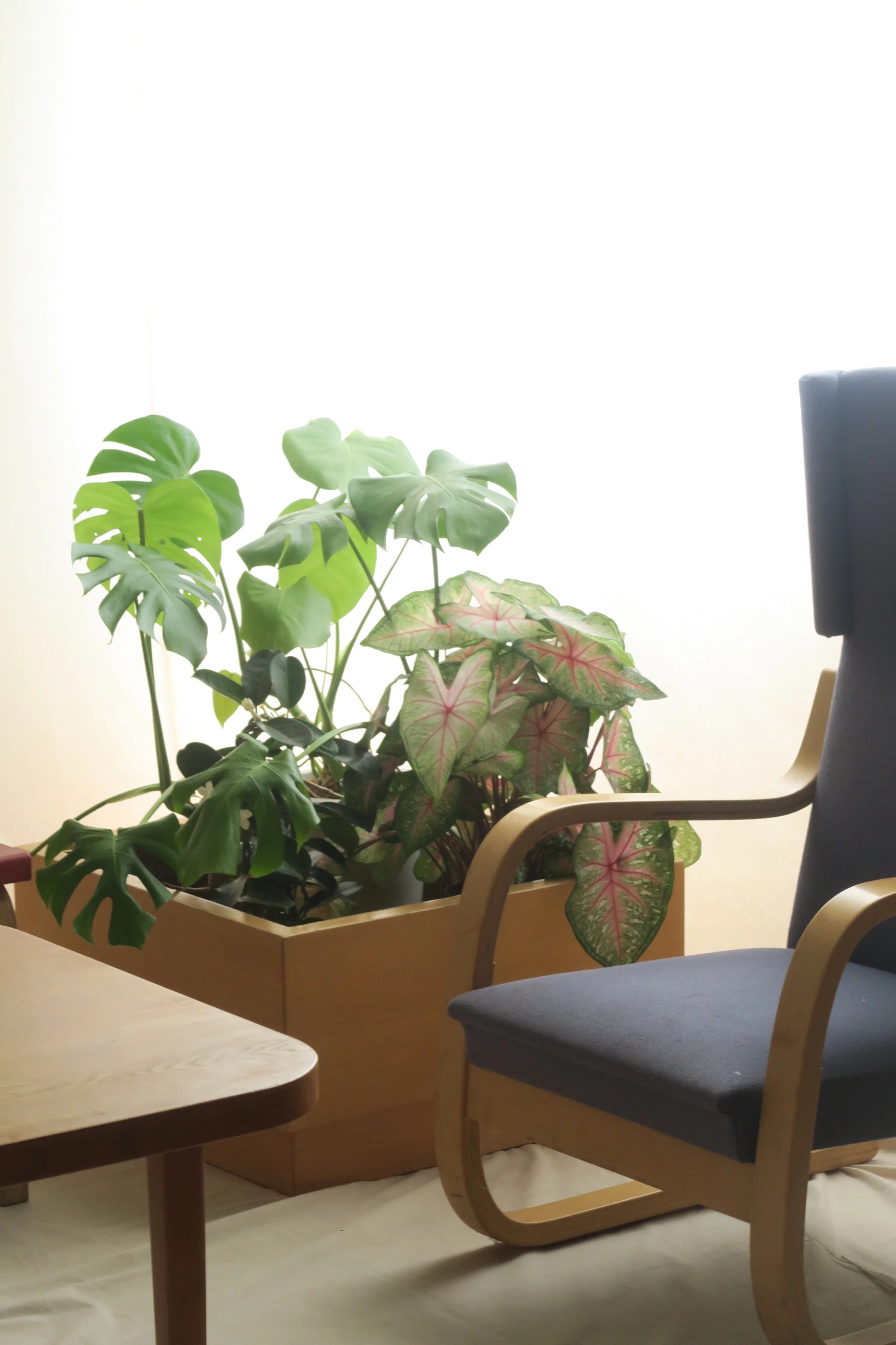 aalto flower pot