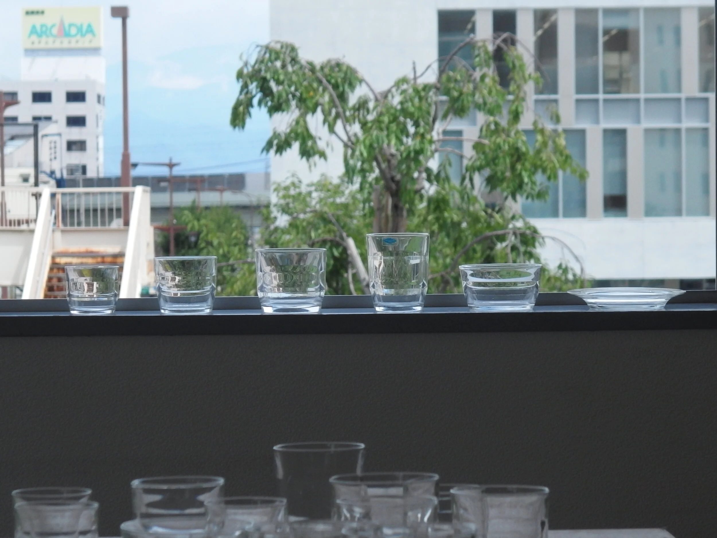 カイフランク  プリズマ