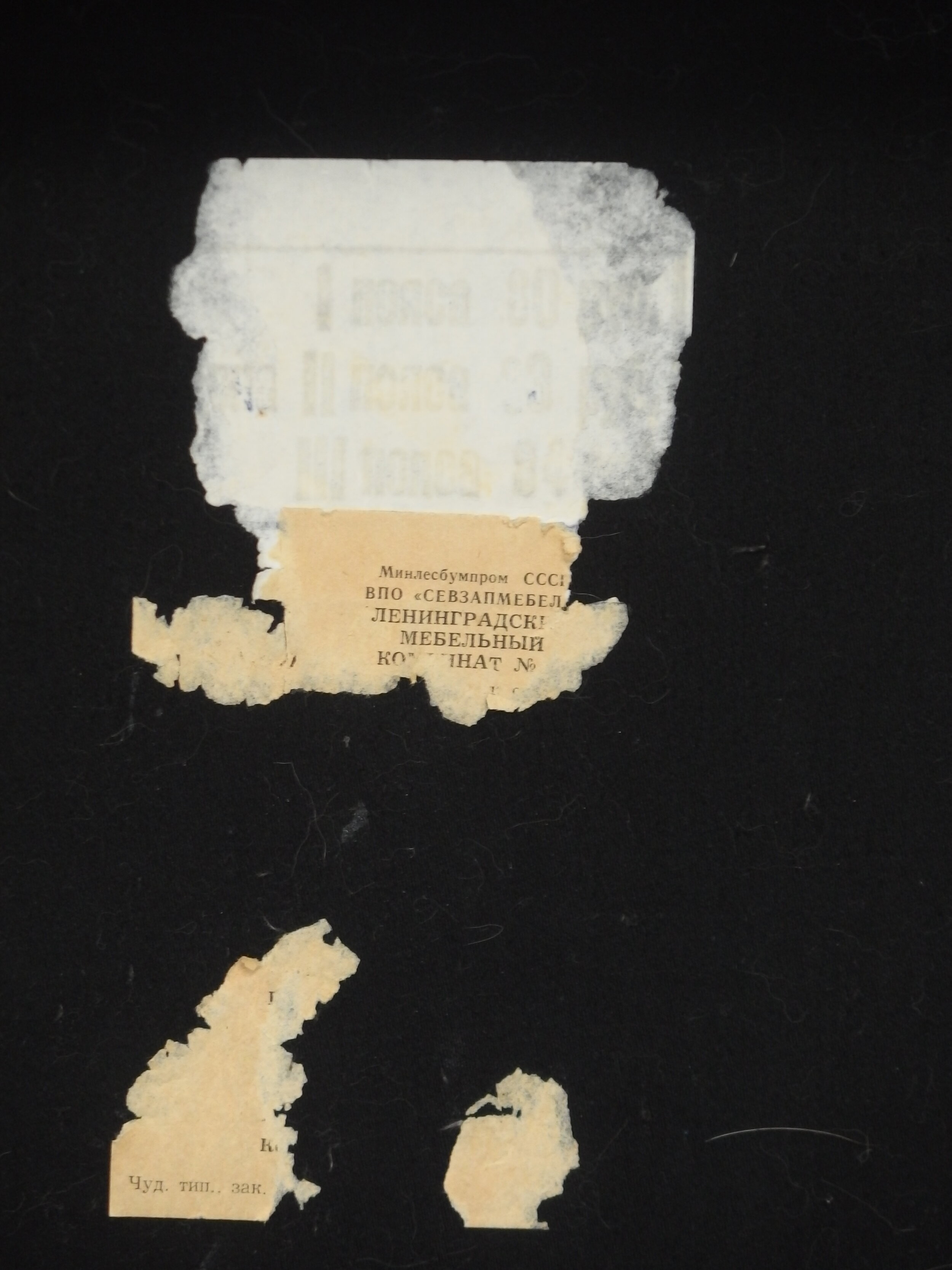 PB222646.JPG