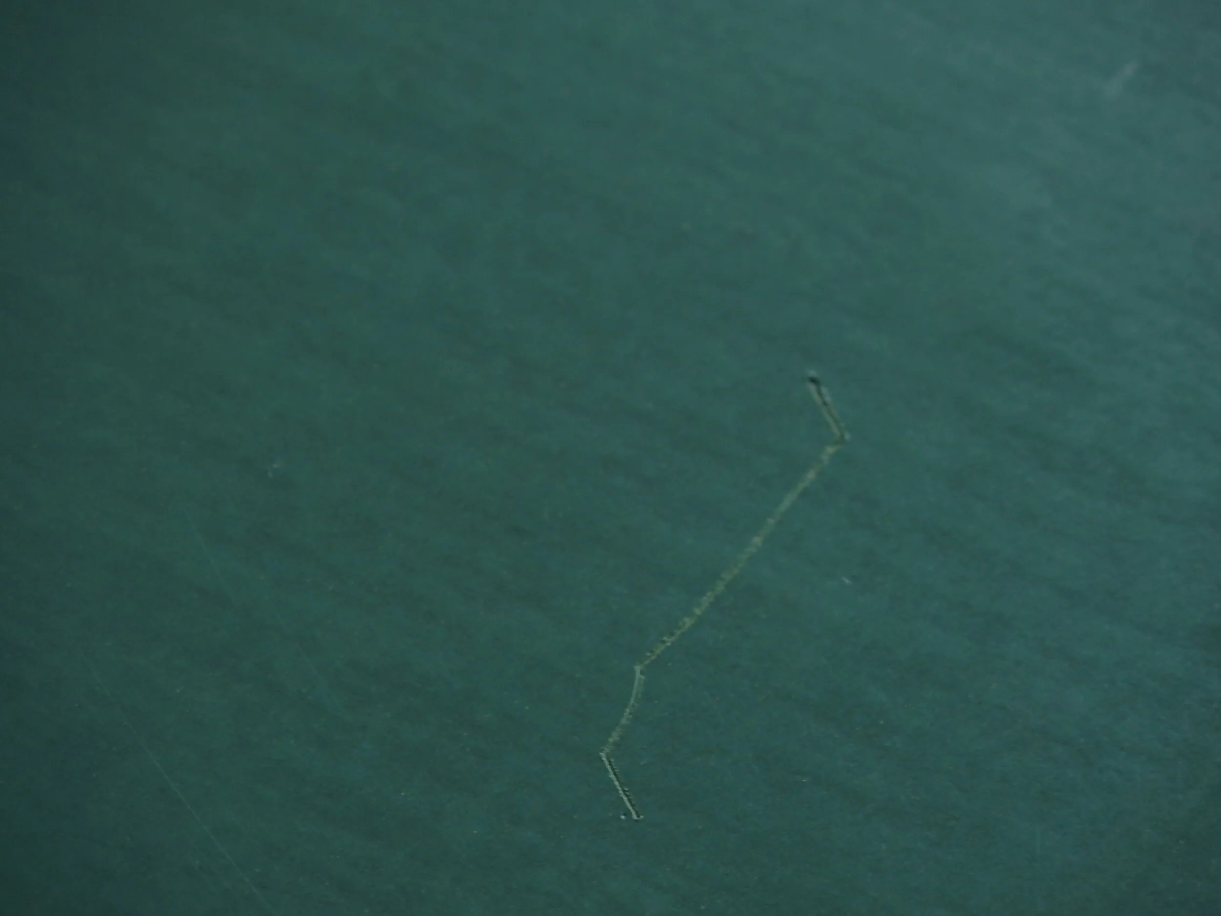 アアルト　ビンテージ