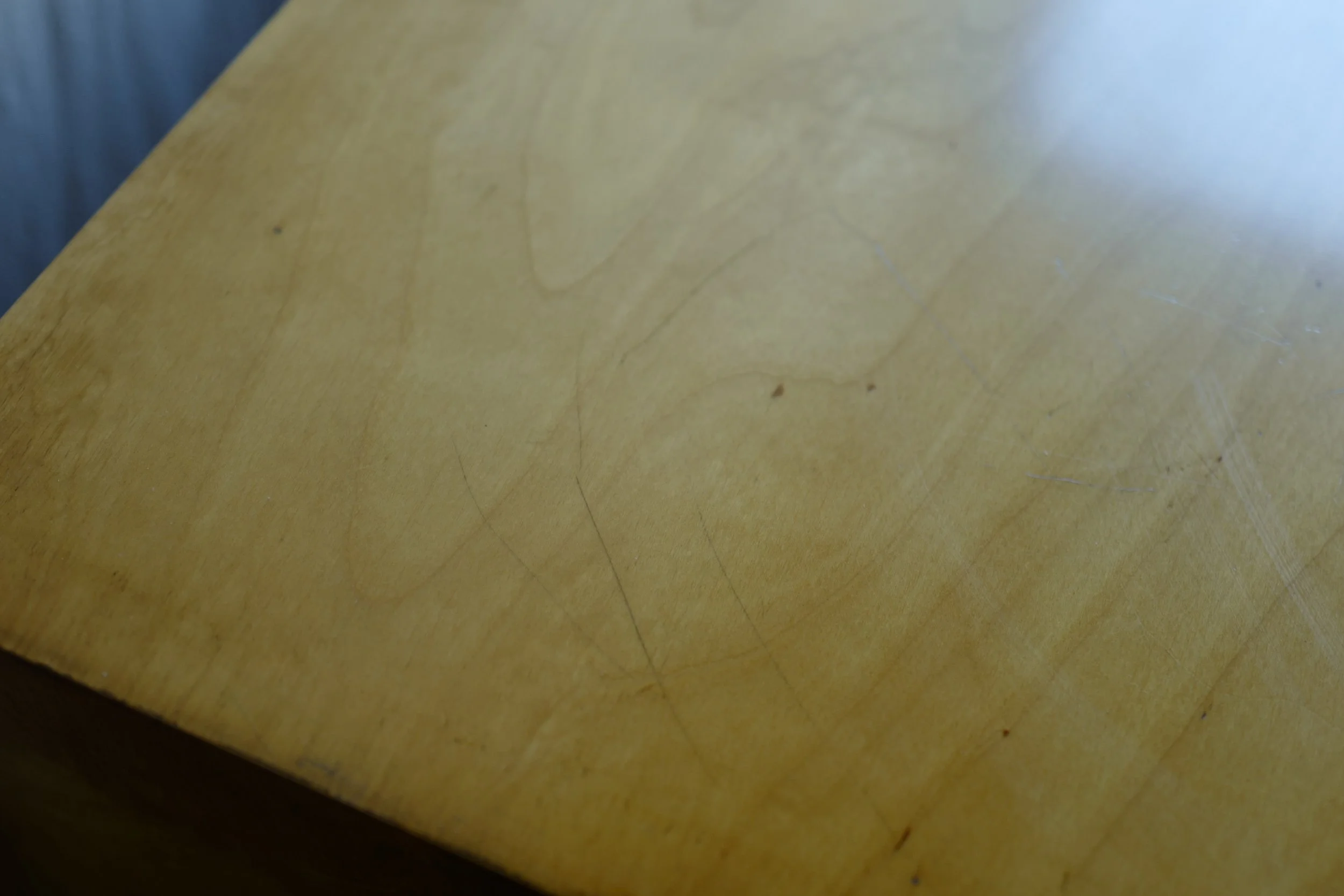 L1040959.JPG