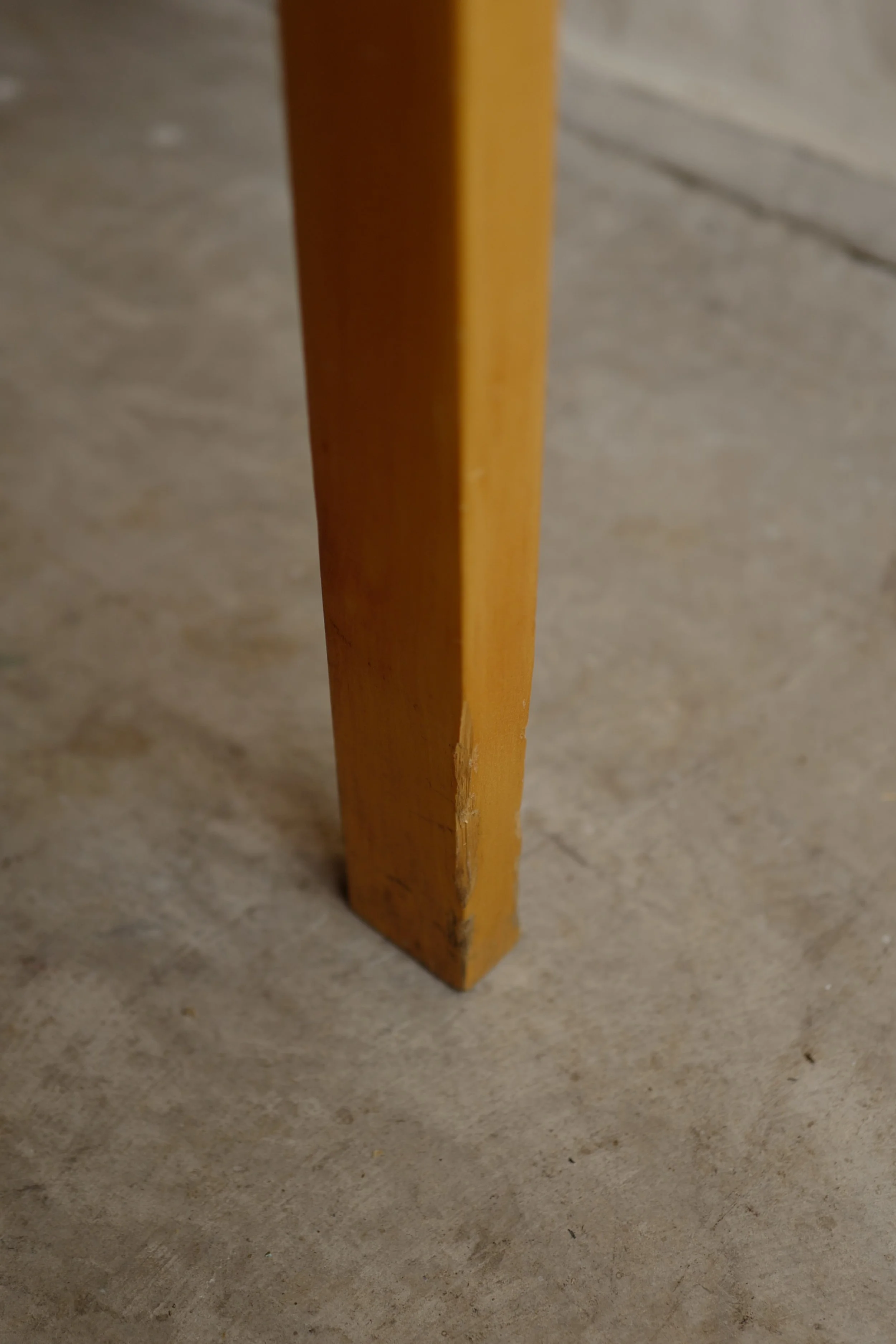 L1130683.JPG