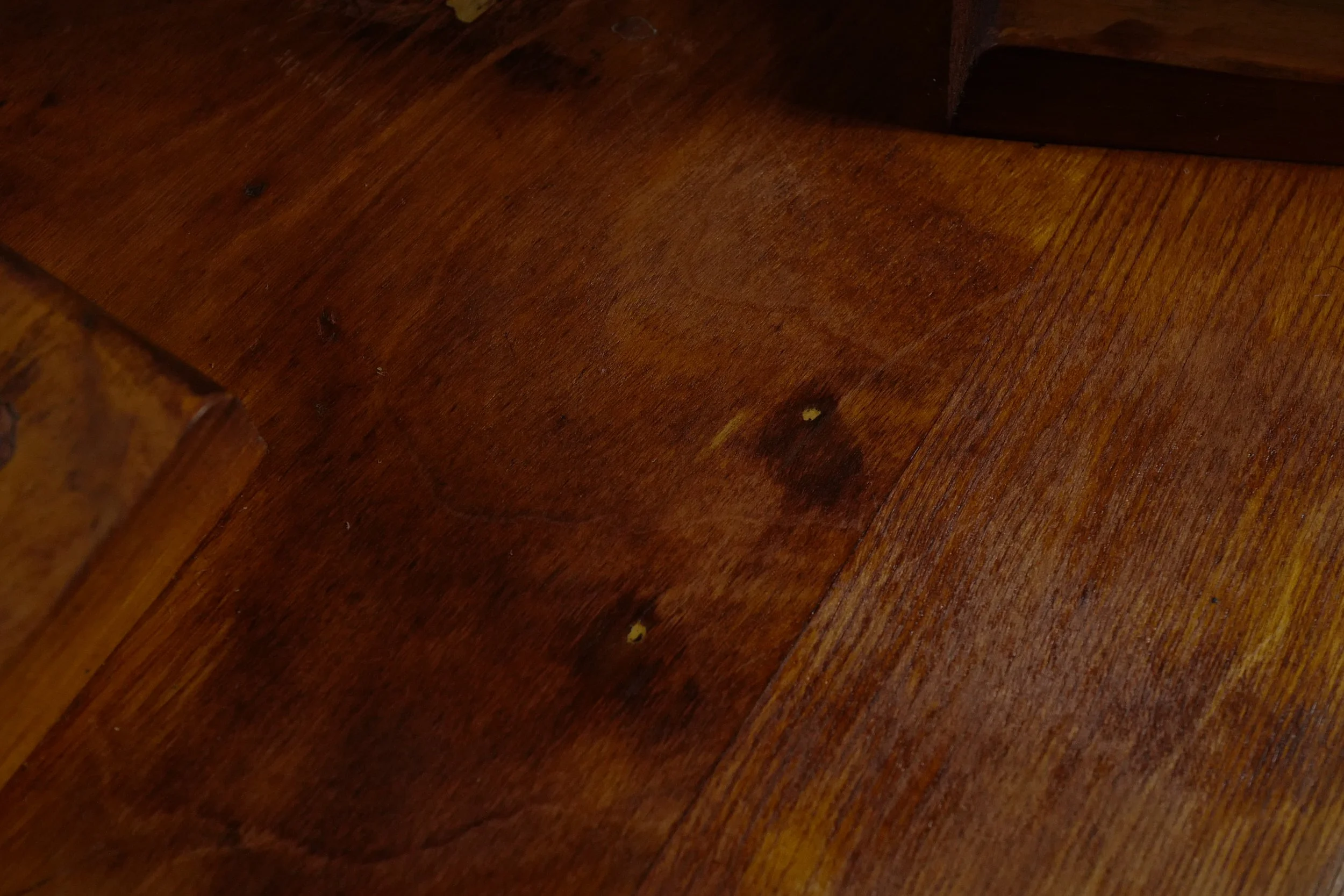 stool60 カレリアンバーチ