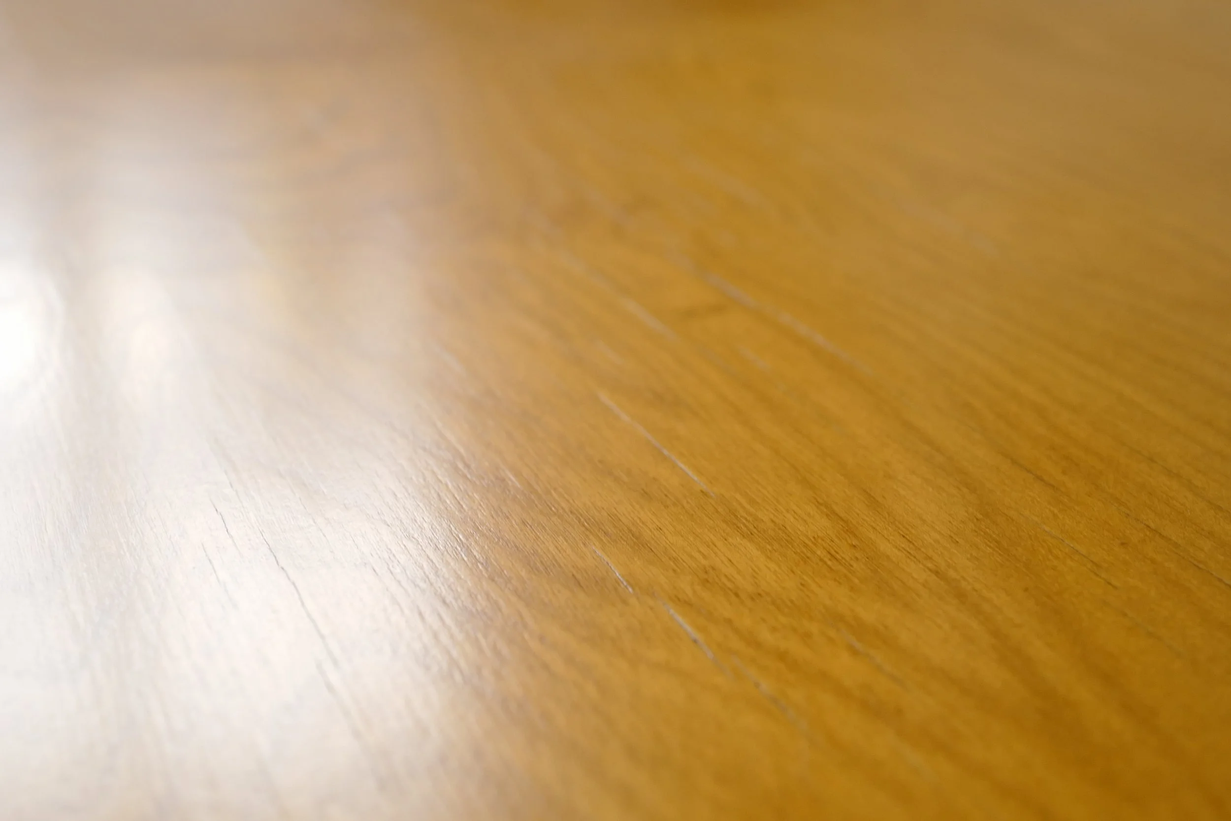 L1330831.JPG