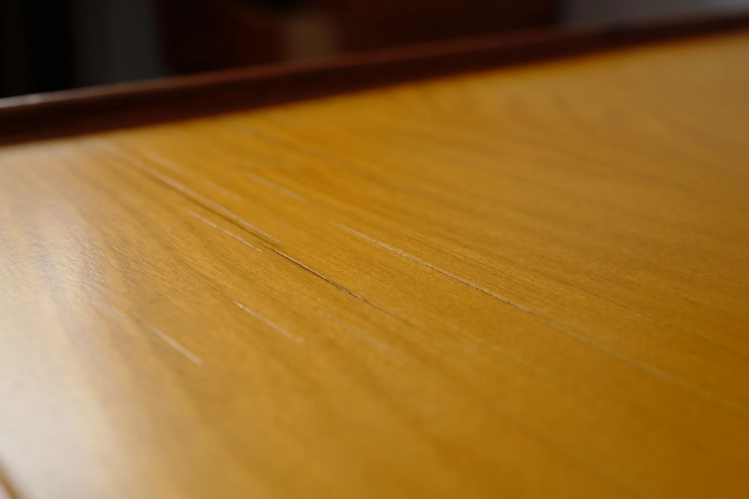 L1330830.JPG