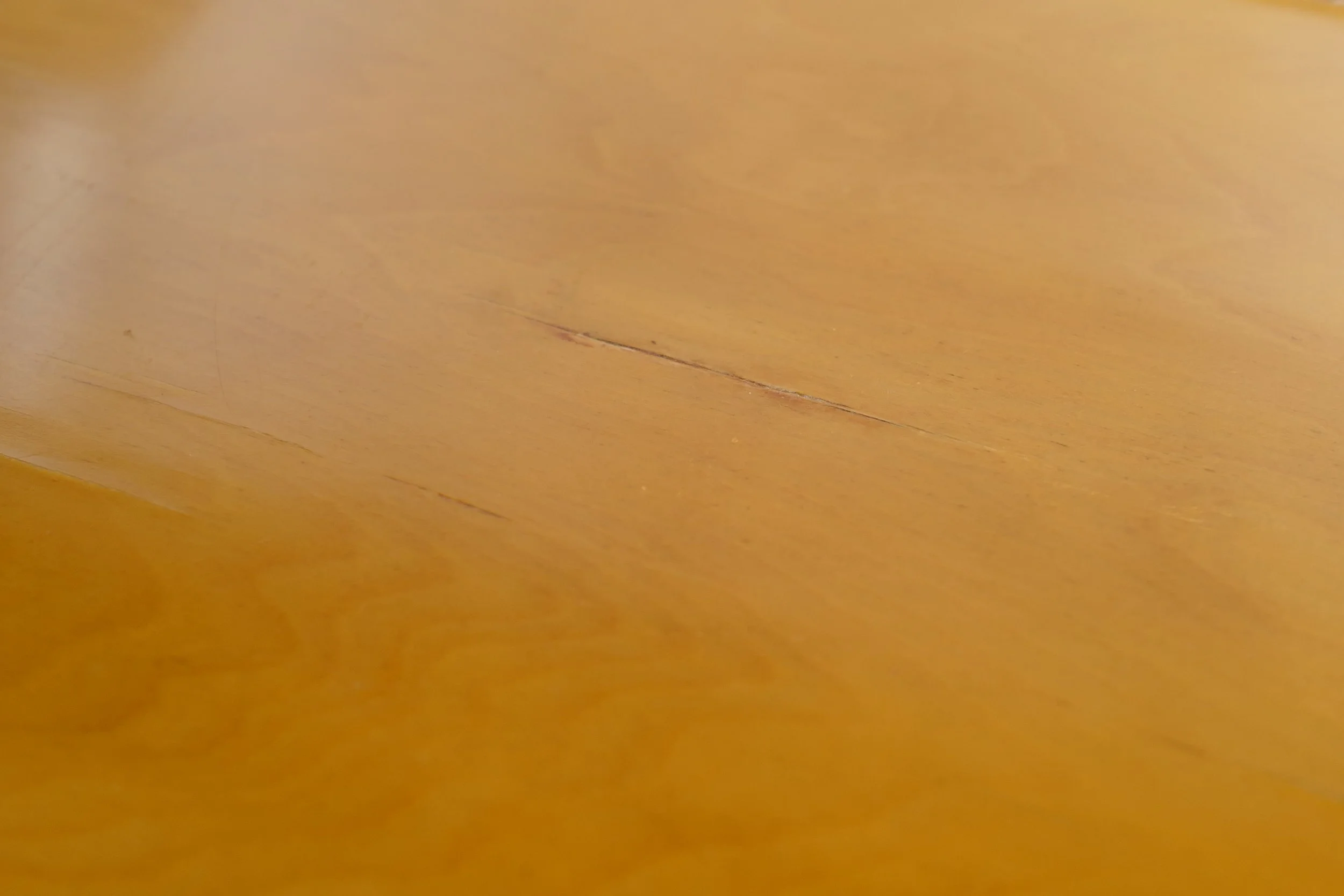L1330919.JPG