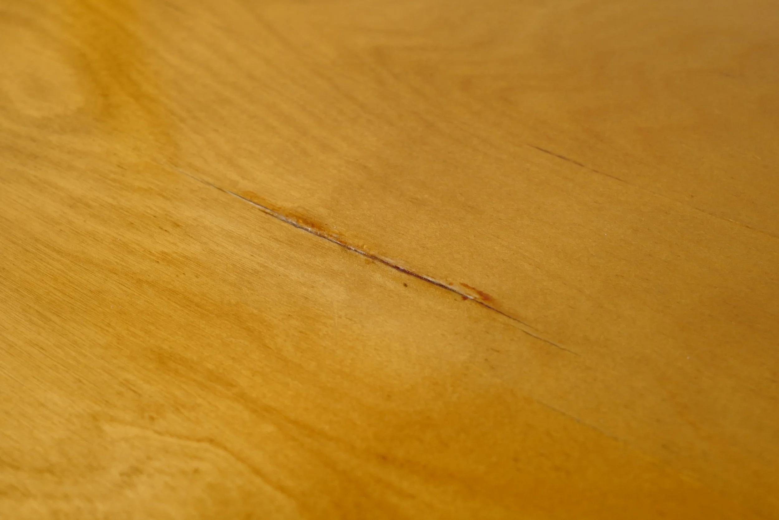 L1330835.JPG