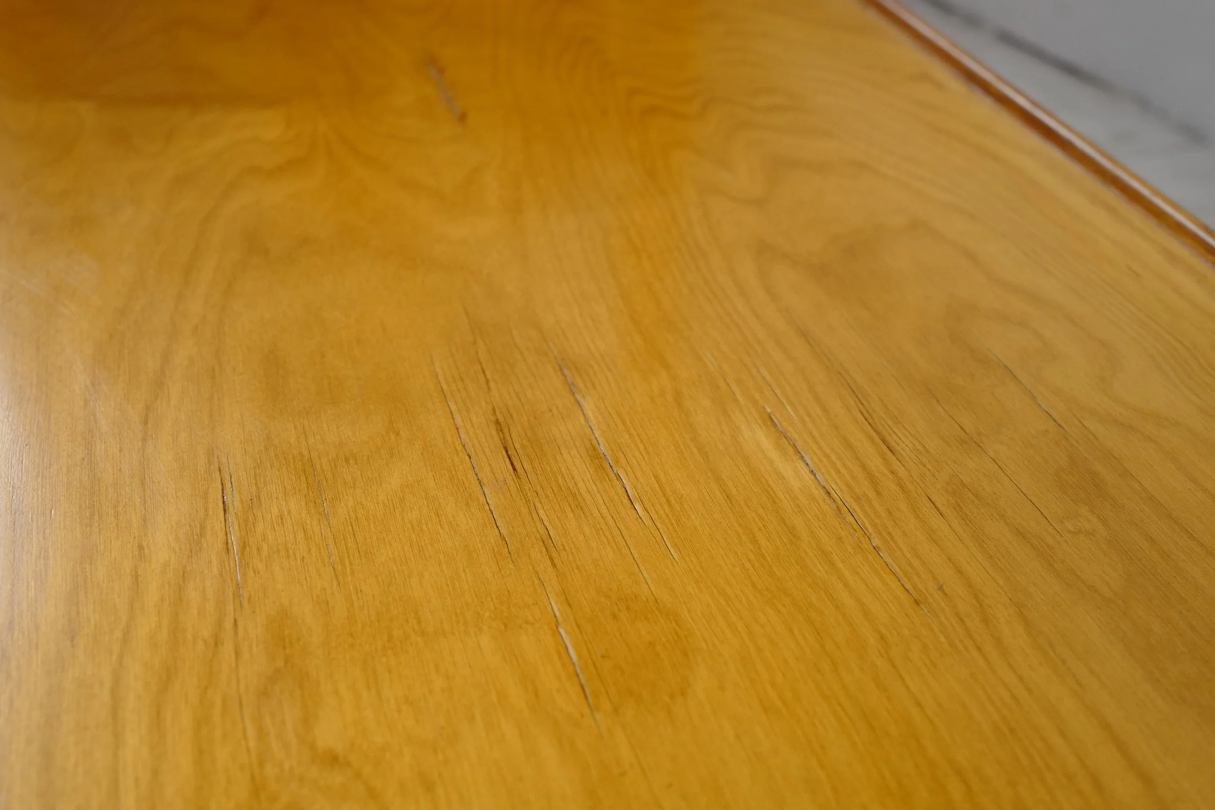 L1330834.JPG