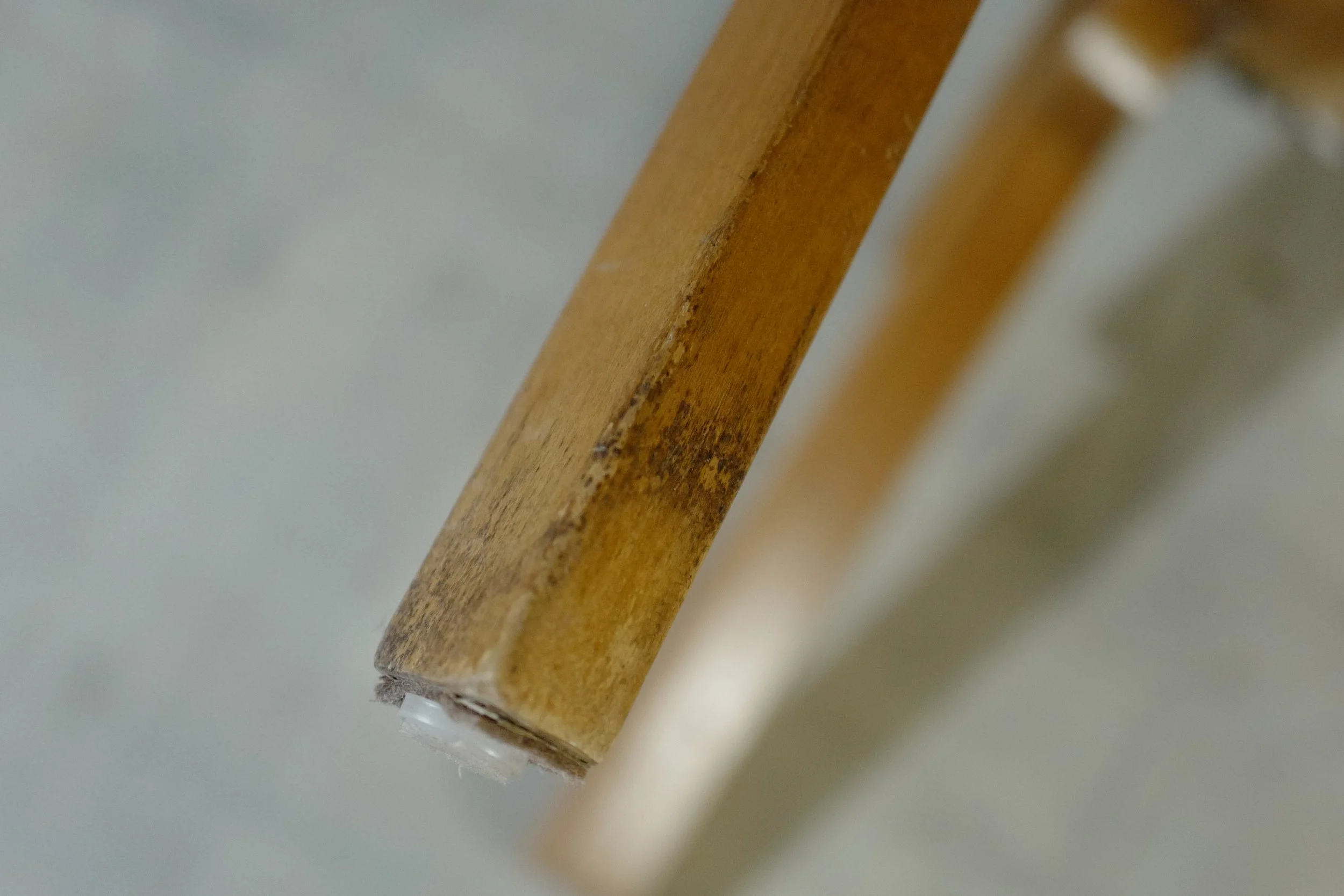 L1340179.JPG