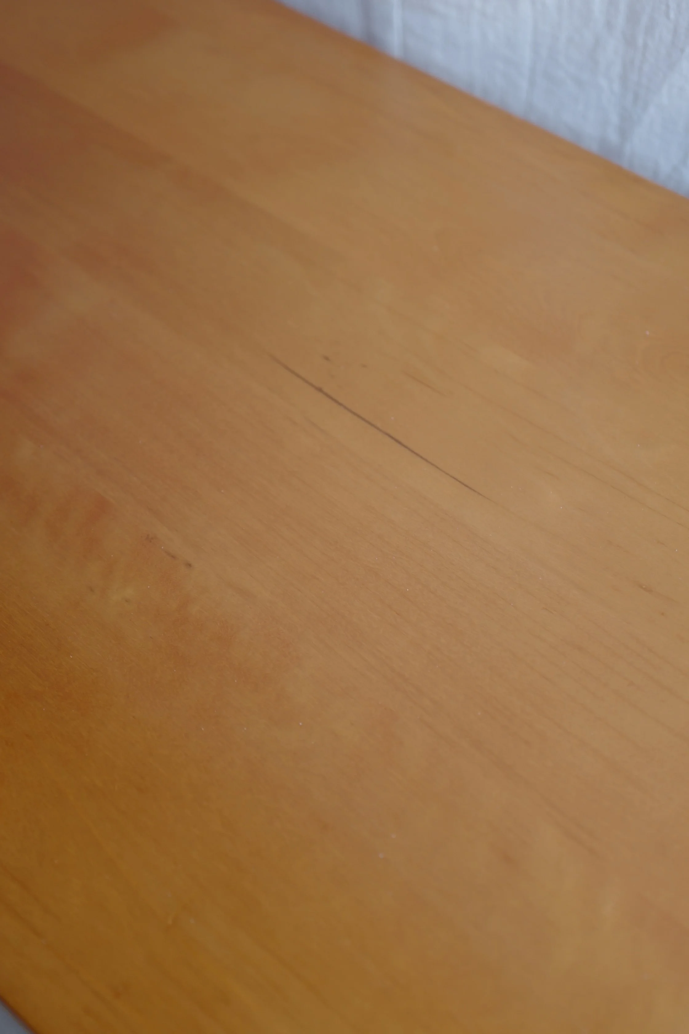 L1340747.JPG