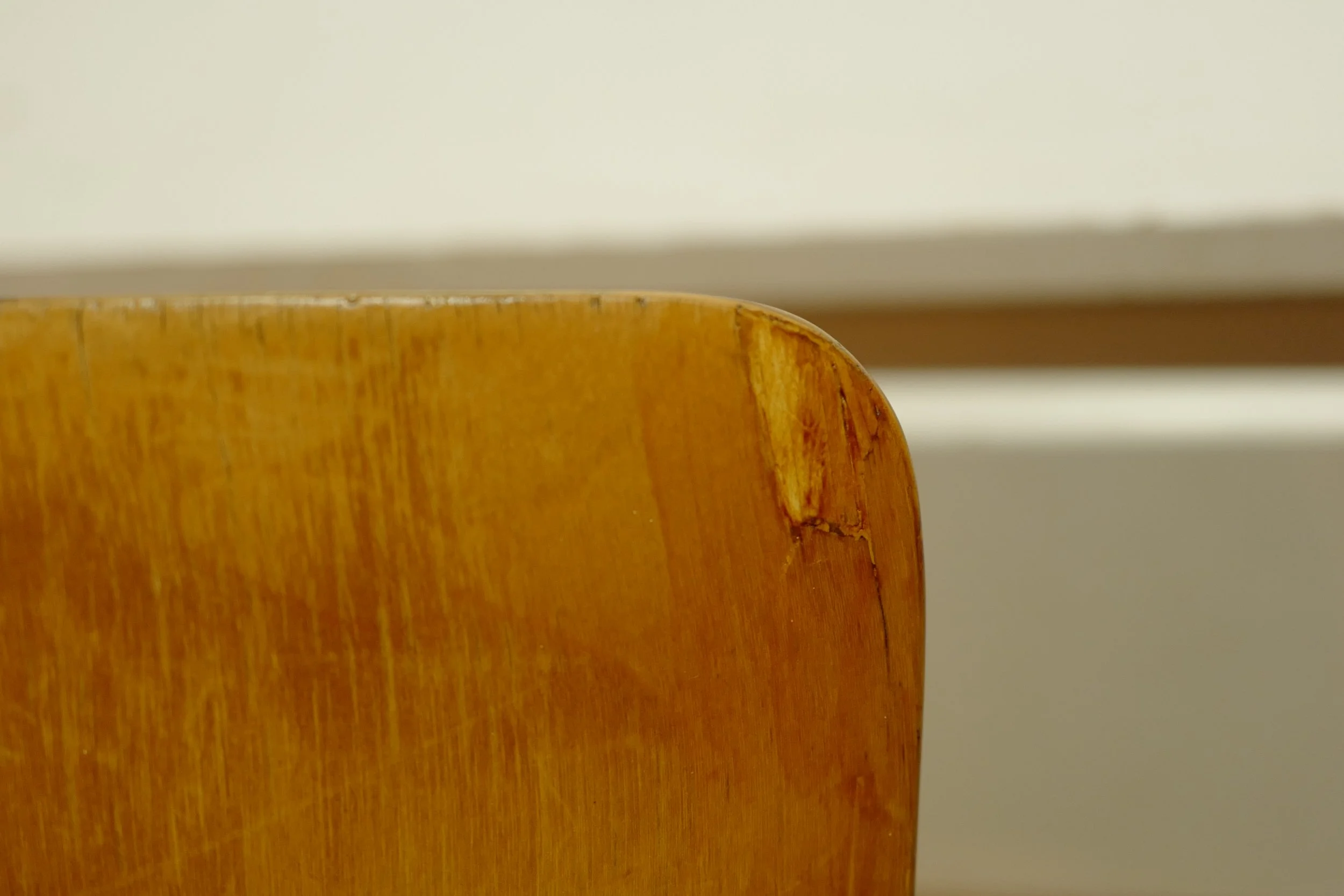 L1240938.JPG
