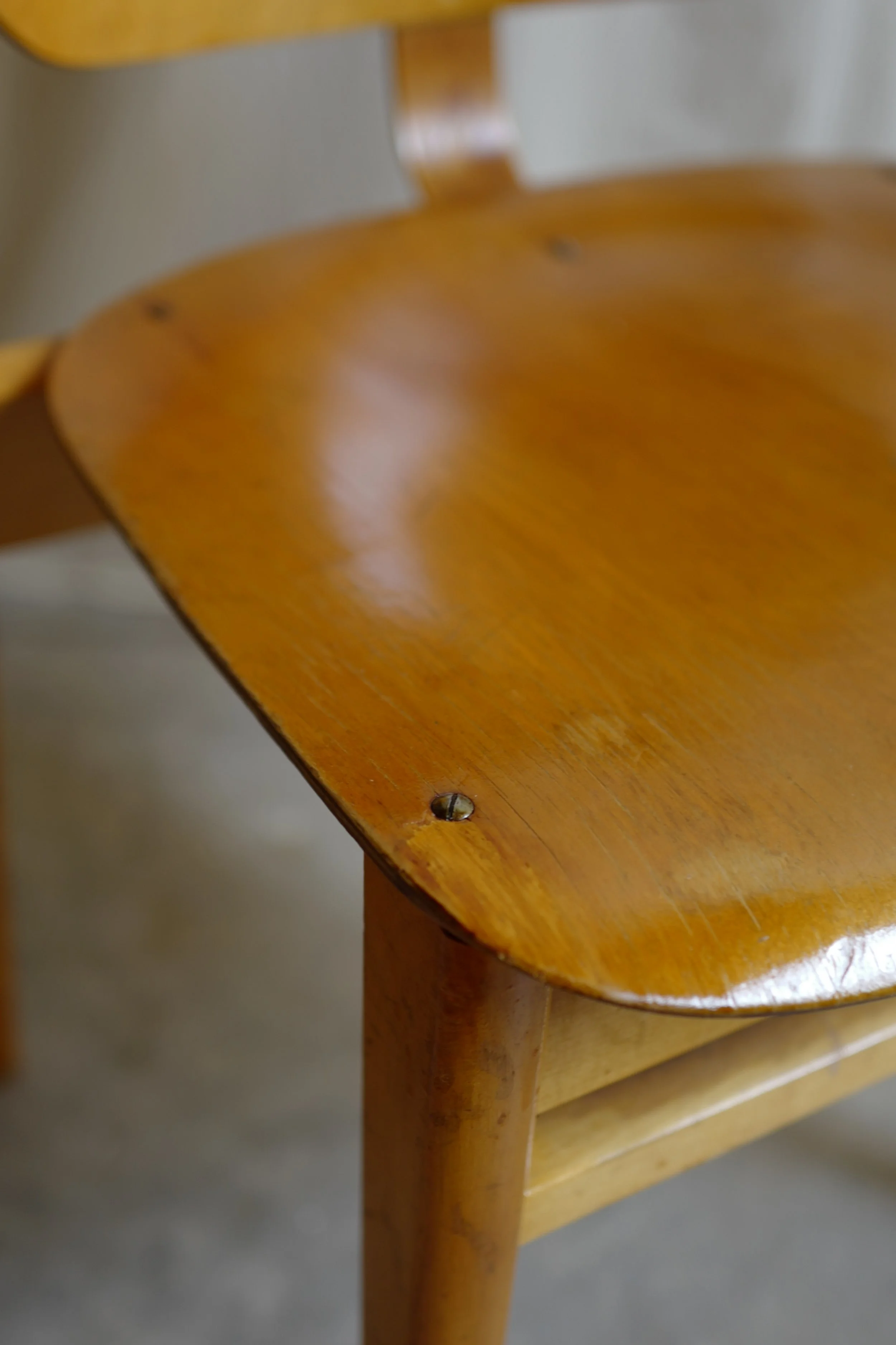 ドムス　ビンテージ