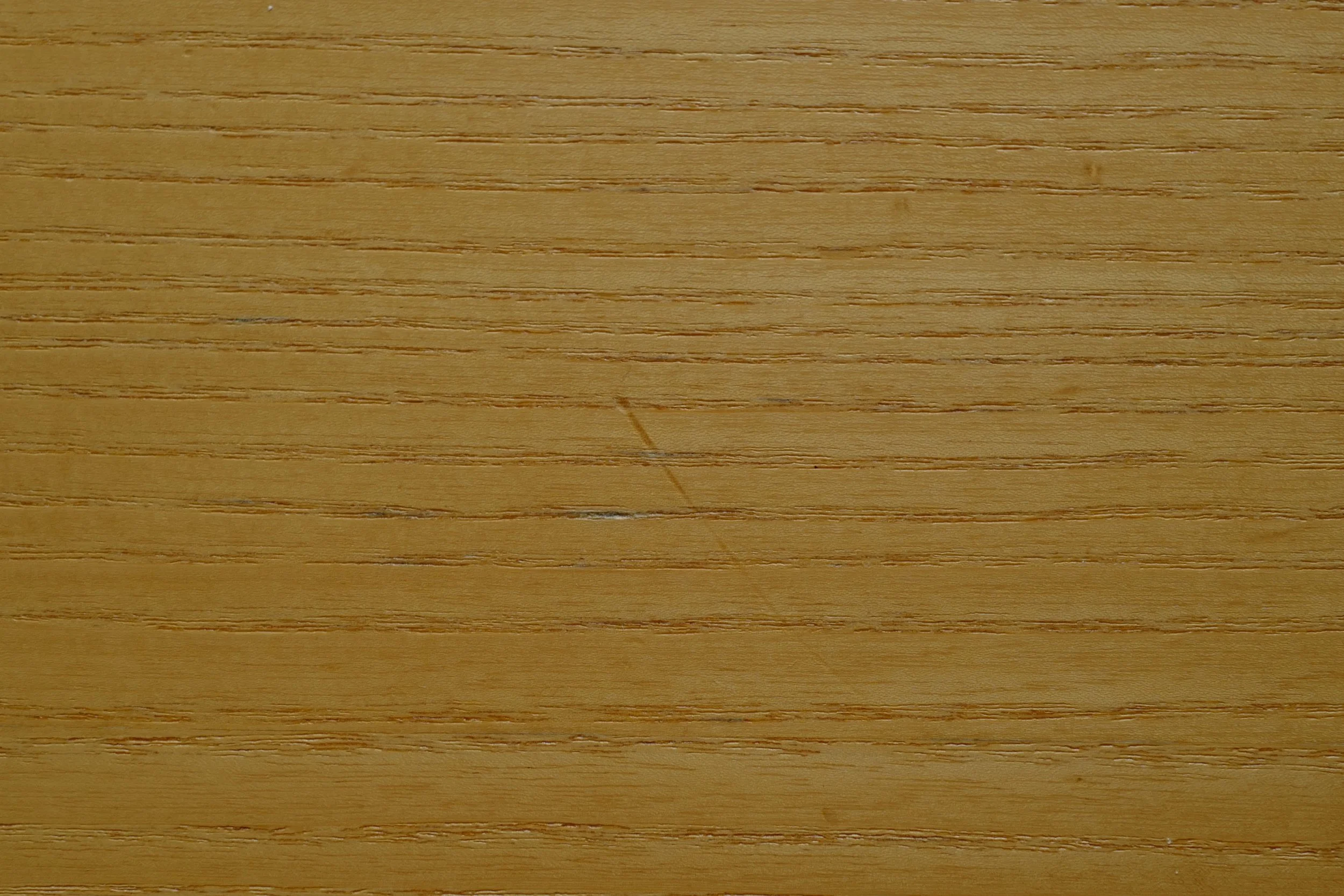 L1330015.JPG