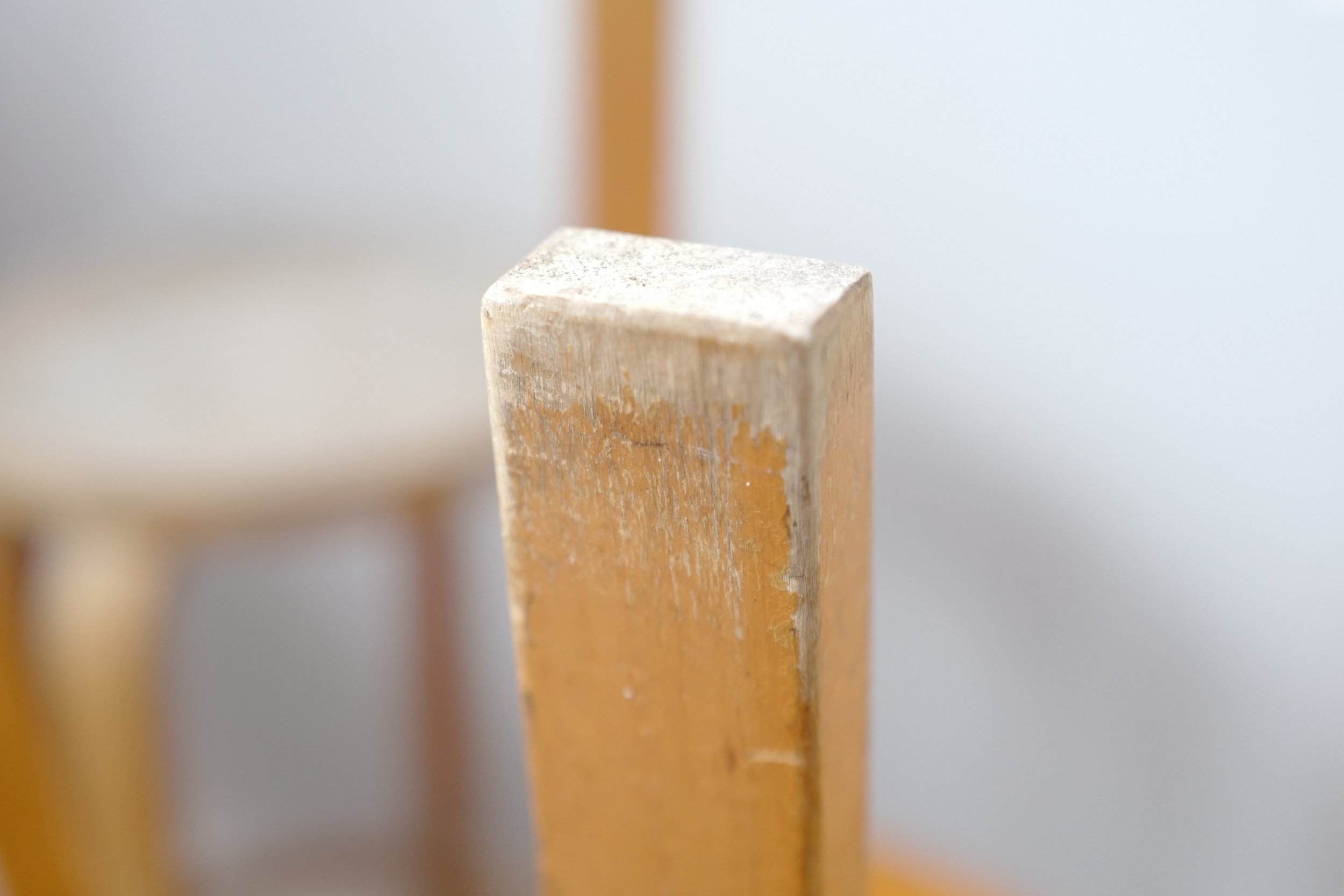 L1340687.JPG
