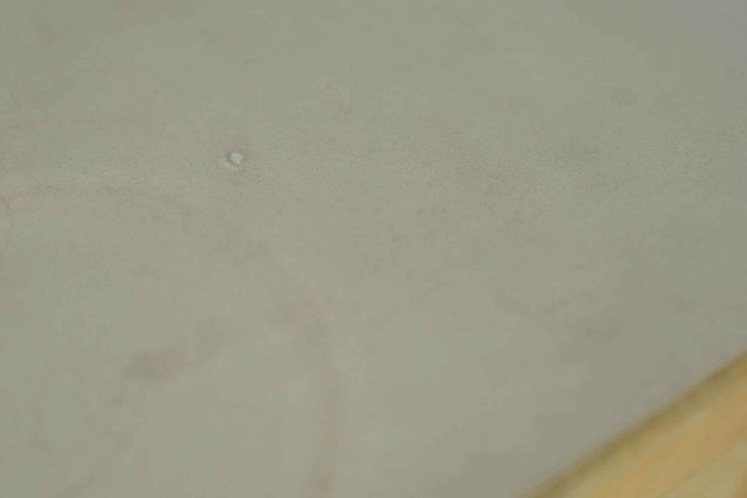 L1340280.JPG