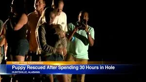 Crews Rescue Deaf Puppy Stuck in Hole for 30 hours in Alabama