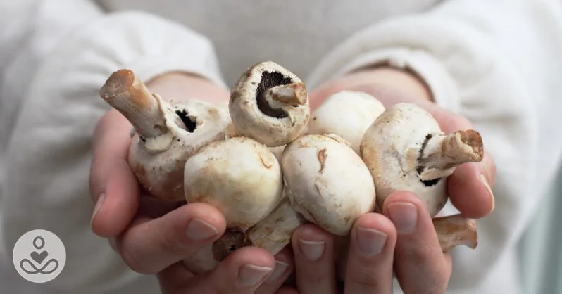 Mushrooms Can Help Prevent Alzheimer’s Disease and Dementia