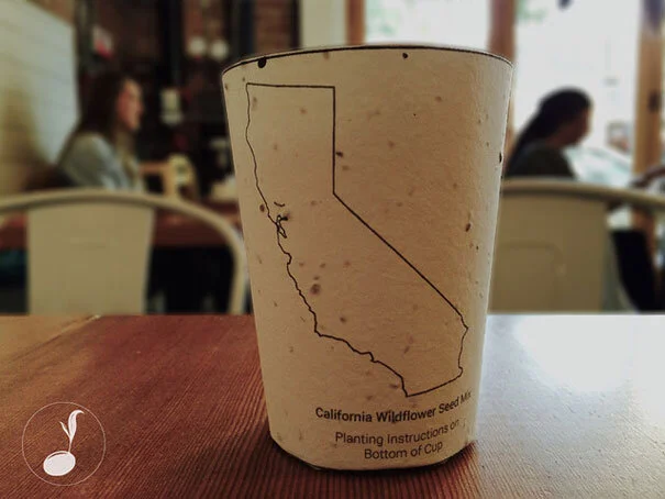 Coffee Cups Embedded with Seeds Grow Into Trees and Wildflowers