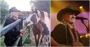 Wille Nelson Saves Dozens of Horses From Slaughterhouse and Brings Them to His Personal Ranch