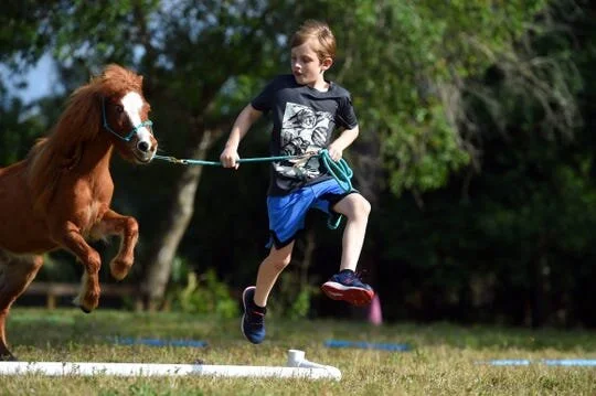 Equine, Music Therapy in Palm City Aims to Help Abused, Autistic and Mentally Ill Children