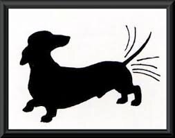 Dog Sprains Tail From 'Excessively Wagging' It with Joy Over Family Being Home for Quarantine