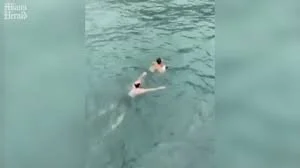 ‘I Just Dropped My Phone’: Watch a Jogger Jump Off a Bridge to Save a Dog in Miami