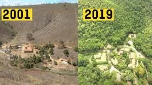 The Brazilian Photographer and the 20-Year Reforestation Project of Over 2.7 Million Trees