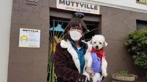 An Adopted 14-Year-Old Girl is Helping Senior Dogs Find a Forever Home Just Like She Did