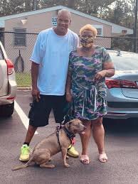 After Patiently Waiting for 7 Years, New Jersey Shelter Dog Finally Finds Forever Home 