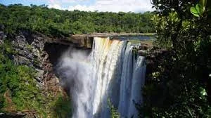 Home Countries of Major Rainforests Agree to Work Together to Save Them