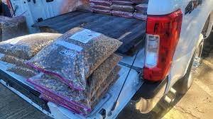 Houston Officials Going Door-to-Door For “Pets for Life” Pilot Program