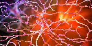 Organic Electronics Mimic Retinal Neurons - The Technology Could One Day Be Used to Treat Neurological Disease or Blindness