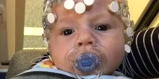 New Neuroscience Research Upends Traditional Theories of Early Language Learning in Babies