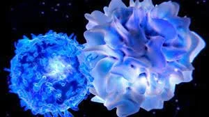 Can Autoimmune Diseases Be Cured? Scientists See Hope At Last