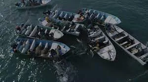 Eyes in the Sky: Why Drones are ‘Beyond Effective’ for Animal Rights Campaigners Around the World