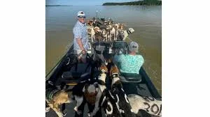 38 Dogs Were Close to Drowning on a Mississippi Lake. But Some Fishermen Had Quite a Catch