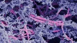 Injectable Goo Could Fix Joints Without Surgery, Early Study Suggests