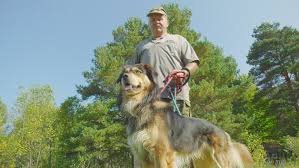 Heroic Dog Saved His Northern Ontario Owner Who Had a Massive Heart Attack