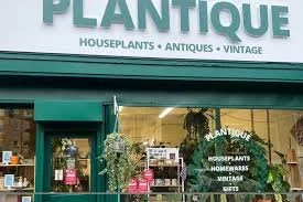 Glasgow Shop Owner to Open on Christmas Day to Help Anyone Needing Company