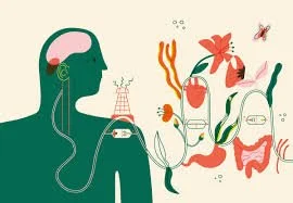The Vagus Nerve’s Mysterious Role in Mental Health Untangled